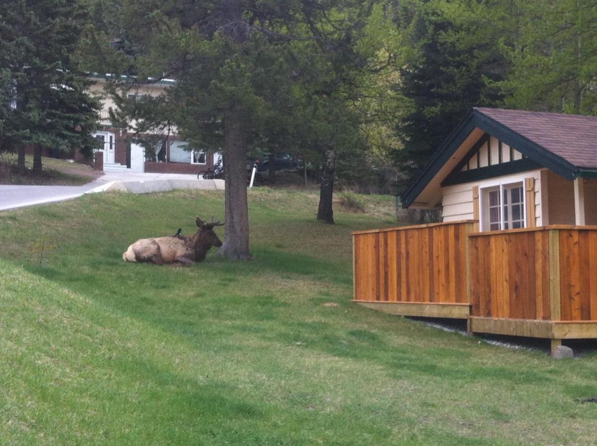 Hillside Bungalows Banff Zewnętrze zdjęcie